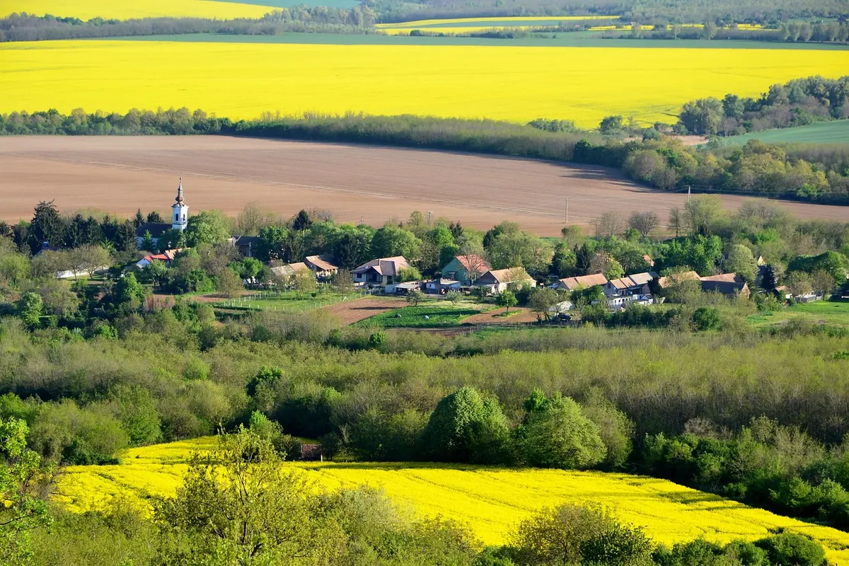 Village Hall Repair Fundraiser: A Step-by-Step Checklist for Rural Communities